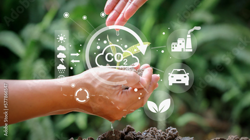 Fotografia Planting trees, clean air concept, non-toxic and environmentally conscious
