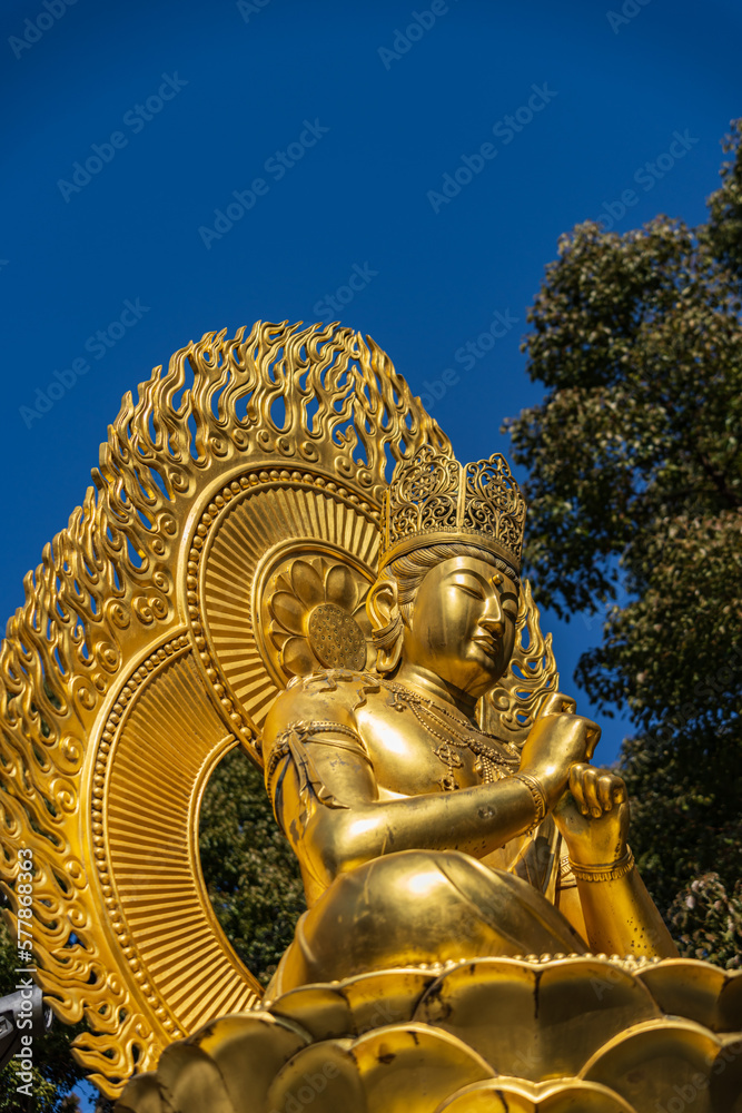 Fototapeta premium 奈良県、橿原、久米寺