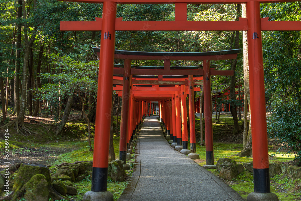 奈良県、橿原神宮