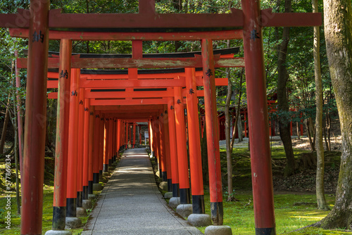 奈良県、橿原神宮