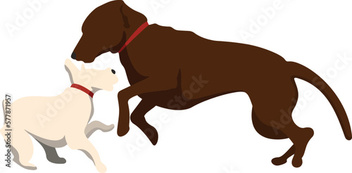 Silhouette Two Dogs Playing