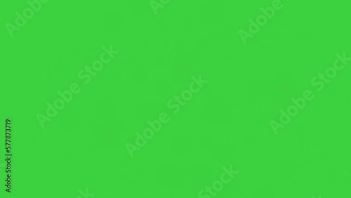 coin splash animation with green screen