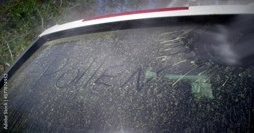 Pollen Washed Off a Car Windshield