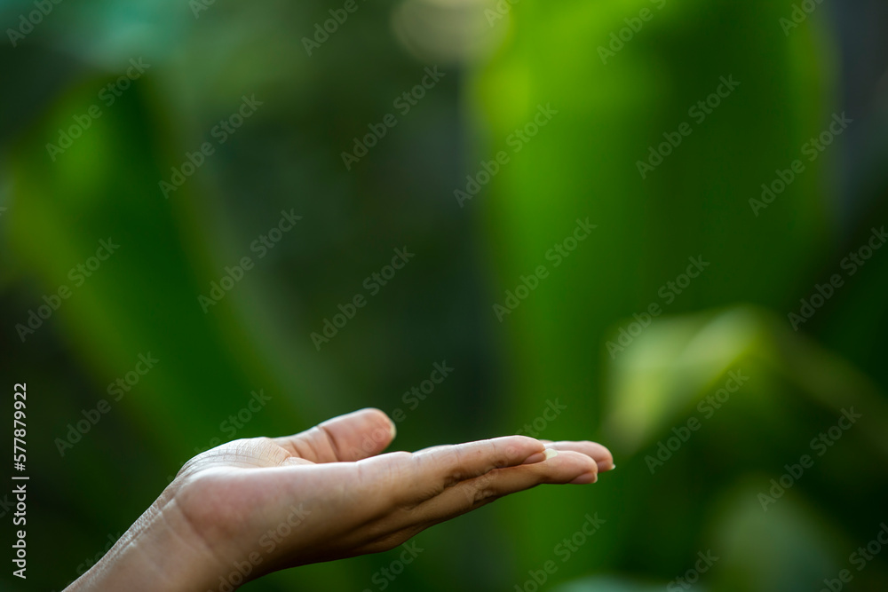 Technology, hand holding with environment on green background Technology, hand holding with environment on green background