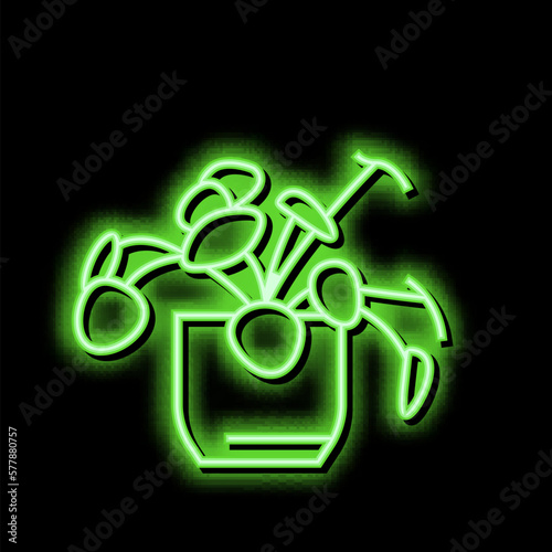 natural plant houseplant neon glow icon illustration