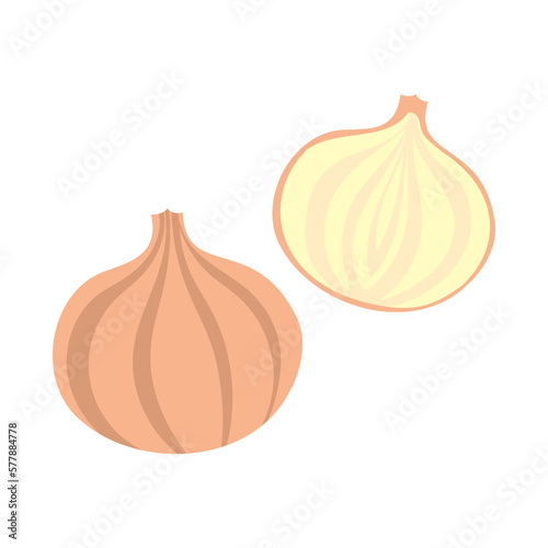 タマネギ。フラットなベクターイラスト。
Onion. Flat designed vector illustration.