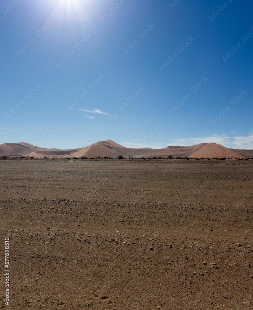 View of red sand dune