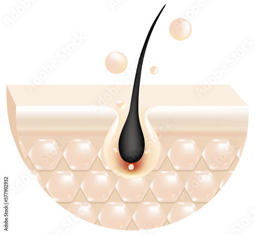 Hyaluronic acid hair and skin solutions ad, white collagen serum drop into skin cells.