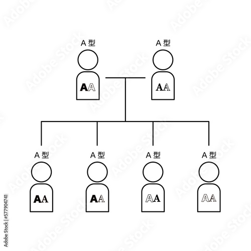 血液型の遺伝（両親がAAの場合）