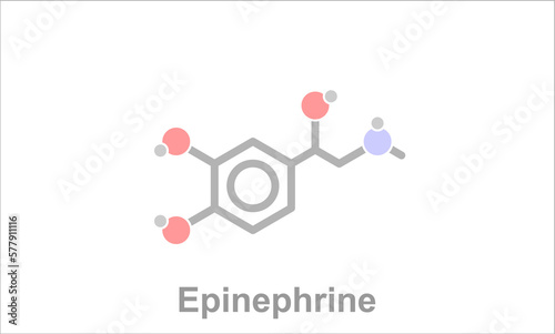 Simplified formula icon of epinephrine.
Involved in the regulation of visceral funcions,

