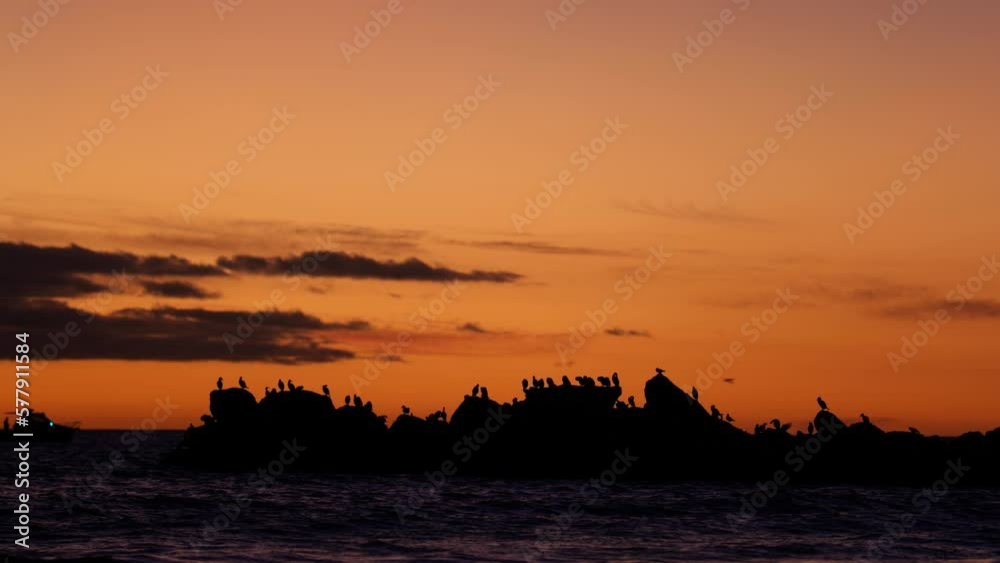 Golden Hour Sun Setting Glenelg Beach Sunset With Birds On Rocks Golden Hour Sun Setting Glenelg Beach Sunset With Birds On Rocks