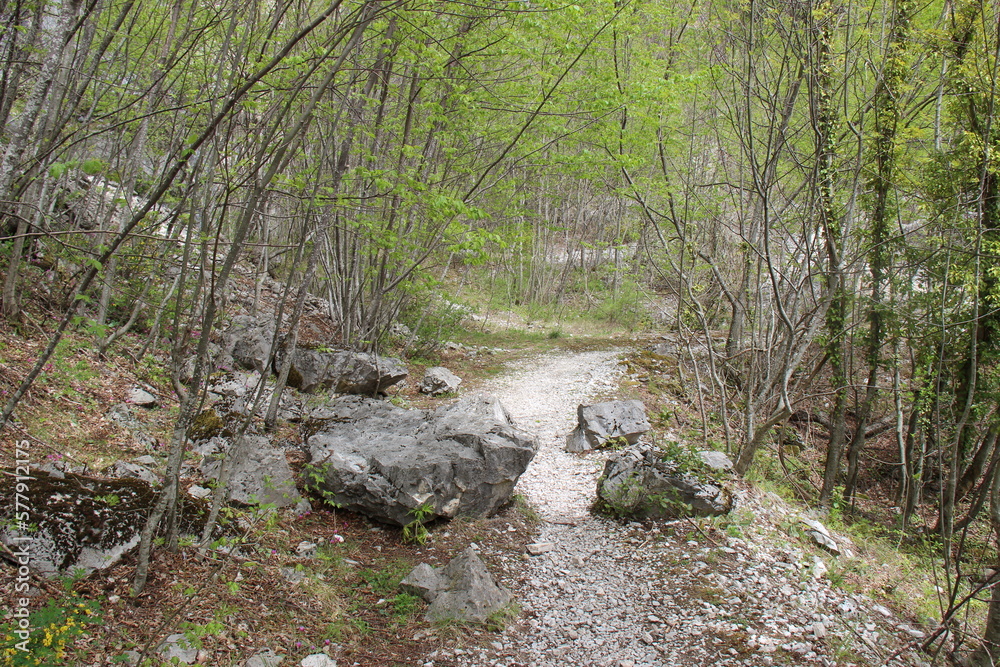 Fiume tra le rocce Fiume tra le rocce