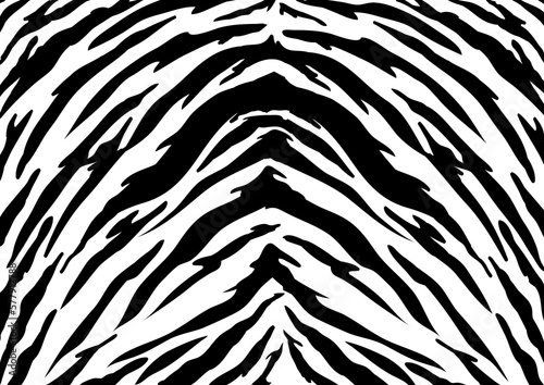 Tiger texture abstract background.