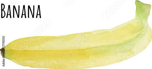 Watercolor illustration of yellow banana. Fresh raw fruit. Banana lover illustration