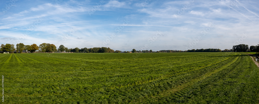Fototapeta premium HDR panorama photo of a green agricultural landscape with blue sky and white clouds