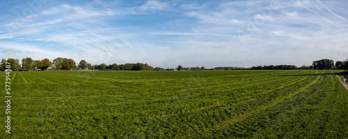 HDR panorama photo of a green agricultural landscape with blue sky and white clouds
