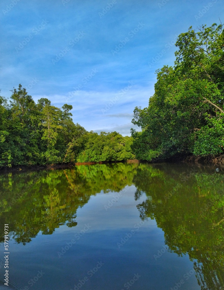 river in the forest river in the forest