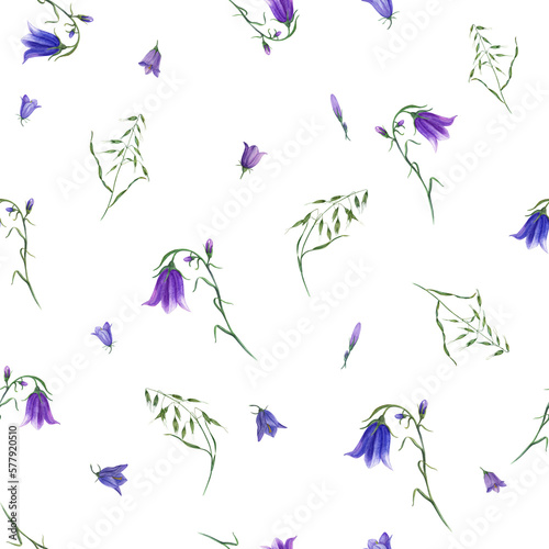 Floral seamless pattern of bluebells  wild oats isolated on white background. Watercolor hand drawn illustration for poster  scrapbooking  invitations  prints  wallpaper  fabric  textile  wrapping.