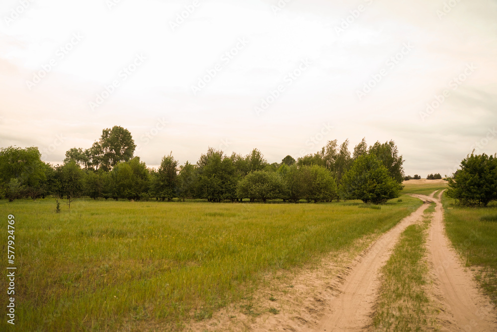 Fototapeta premium Country road in a green meadow.