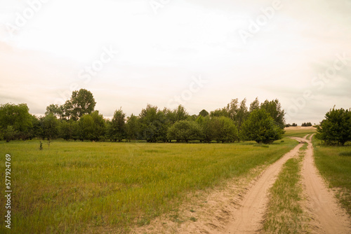 Country road in a green meadow.