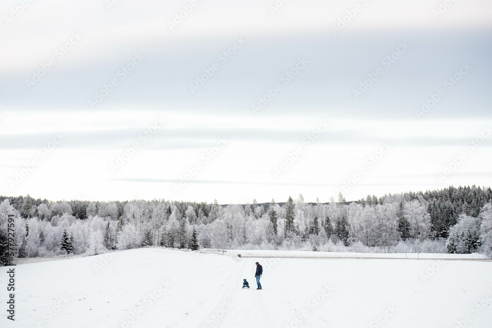 Father son walking sledging in snow white forest winter wonderland Father son walking sledging in snow white forest winter wonderland