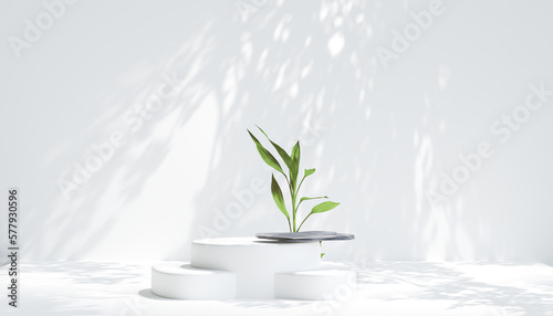 display podium white background and stone for product presentation. 3d rendering