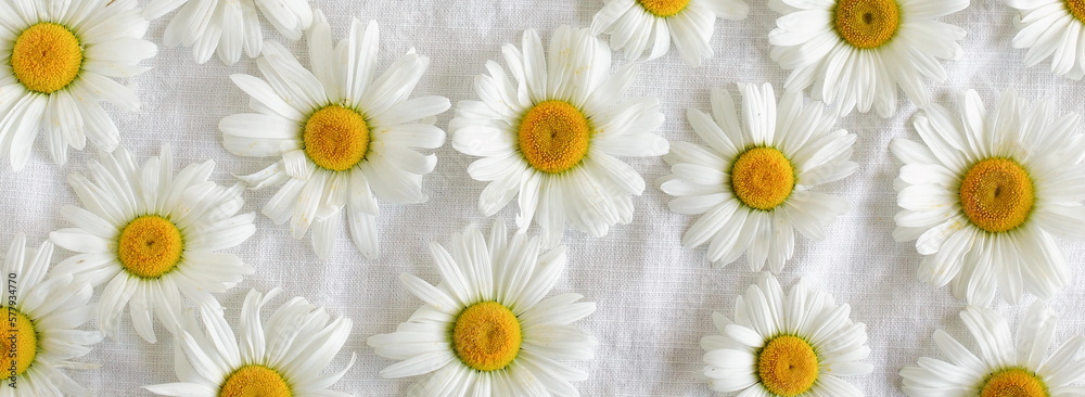 Daisy Flowers background banner. chamomile flowers pattern on beige linen texture top view.