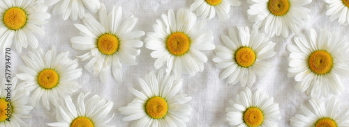 Daisy Flowers background banner. chamomile flowers pattern on beige linen texture top view.