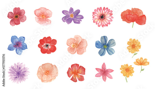 Colorful Watercolor flower Illustration