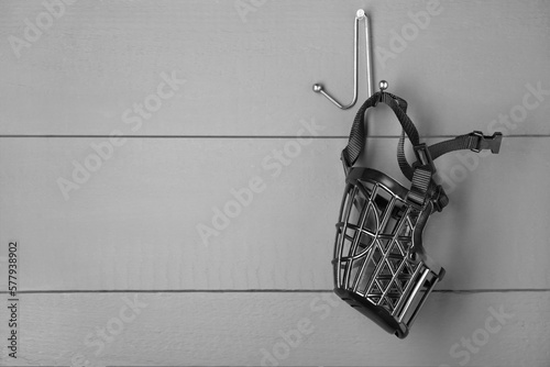 Slika na platnu Black plastic dog muzzle hanging on gray wooden wall, space for text