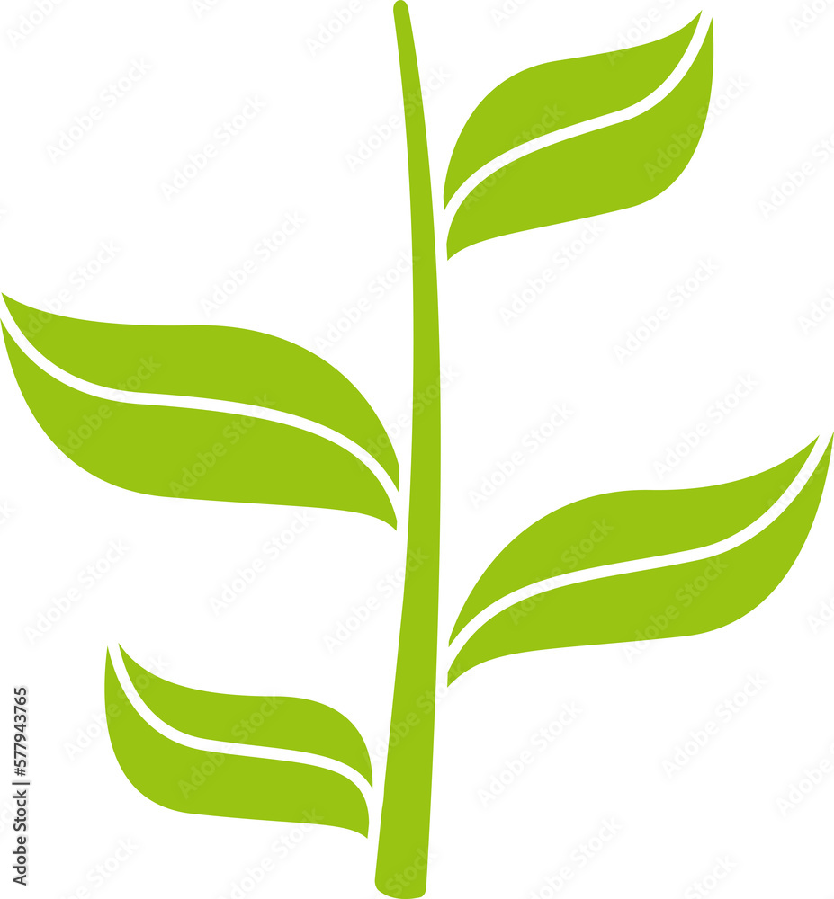 green leaves and branch illustration green leaves and branch illustration