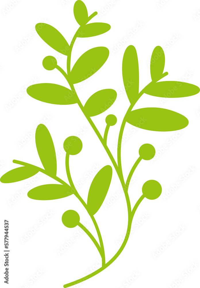 Fototapeta premium leaves and branch illustration