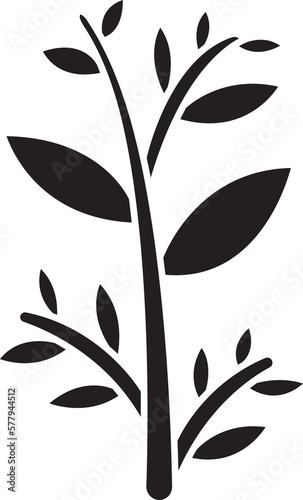 leaves and branch illustration