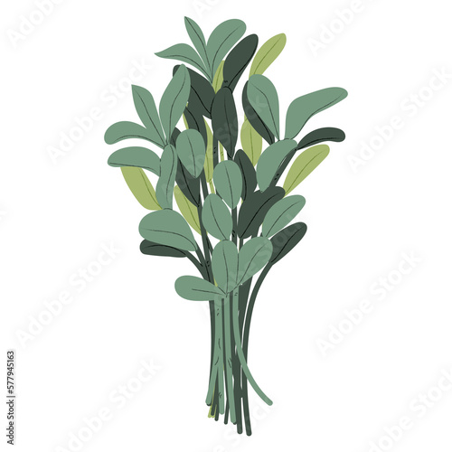 Green leaf bouquet element