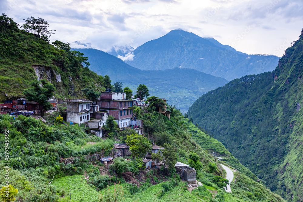 View of village and green agricultural terraced rice field on himalaya mountain in Uttarakhand, India in the morning.