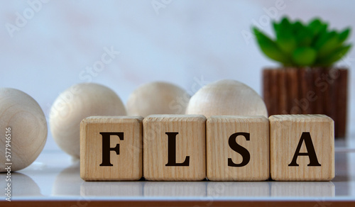 FLSA - acronym on wooden cubes against the background of light balls and cactus photo