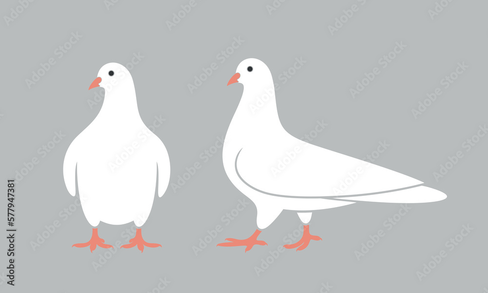Dove logo. Isolated dove on white background. Bird Dove logo. Isolated dove on white background. Bird