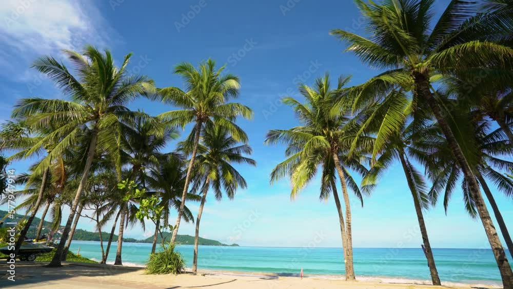 Coconut tree leaf shadows sandy clouds good summer. Palm seaside resort. Beach sea sky sun. Tropical Palm tree island summer paradise. copy space no people. Coconut tree leaf shadows sandy clouds good summer. Palm seaside resort. Beach sea sky sun. Tropical Palm tree island summer paradise. copy space no people.