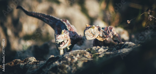 carnotaurus sastrei photo