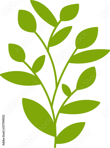 leaves and branch illustration
