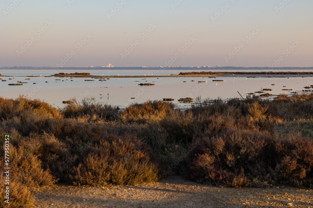 Coucher de soleil sur l'Etang de l'Or au niveau de la Pointe du Salaison, zone riche en oiseaux