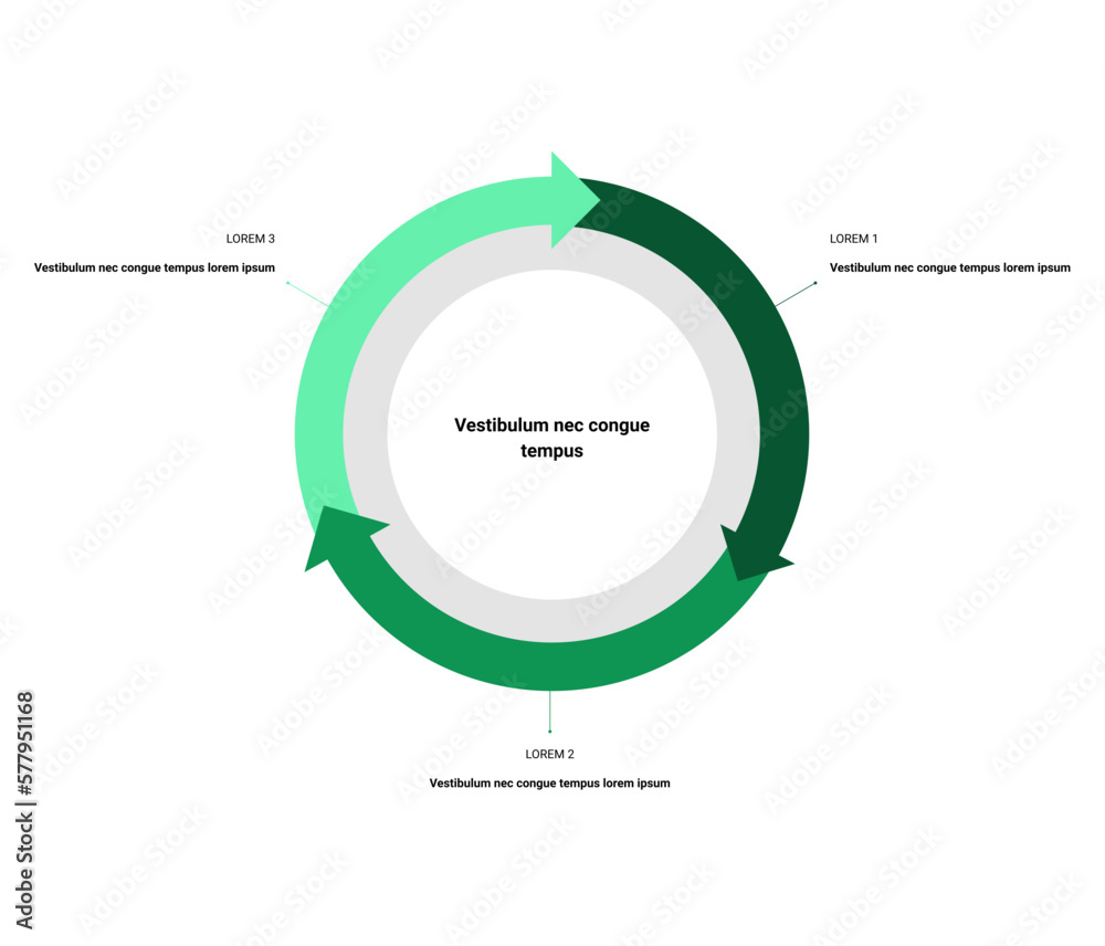 Circle diagram of business process, info graphic