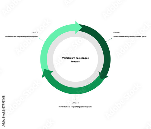 Obraz na płótnie Circle diagram of business process, info graphic w salonie