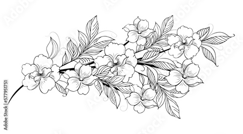 A beautiful blooming branch, richly decorated with flowers, buds, and leaves. Hand drawing.	