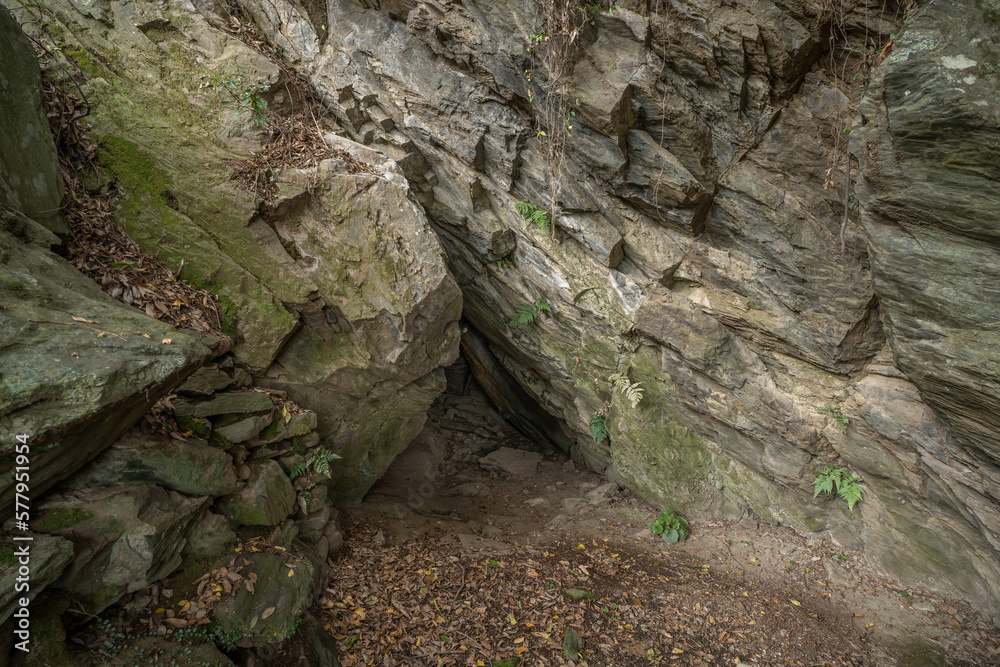 Obraz premium 徳島城