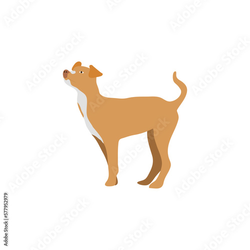 Dog icon in flat color style. Pet animal vector illustration on white isolated background