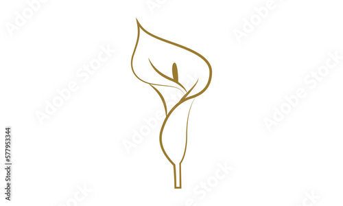 Vector Calla lily flower Icon in flat style