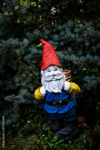 small dwarf with red cap and long gray beard