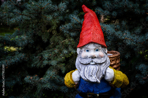 small dwarf with red cap and long gray beard