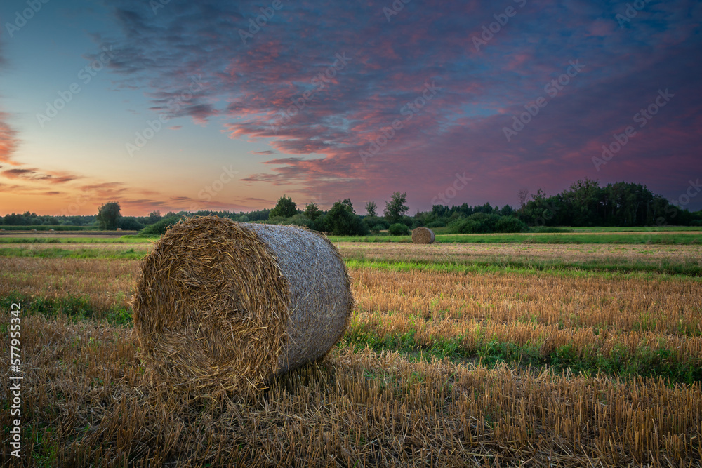 Hay bale in the field and colorful clouds during sunset